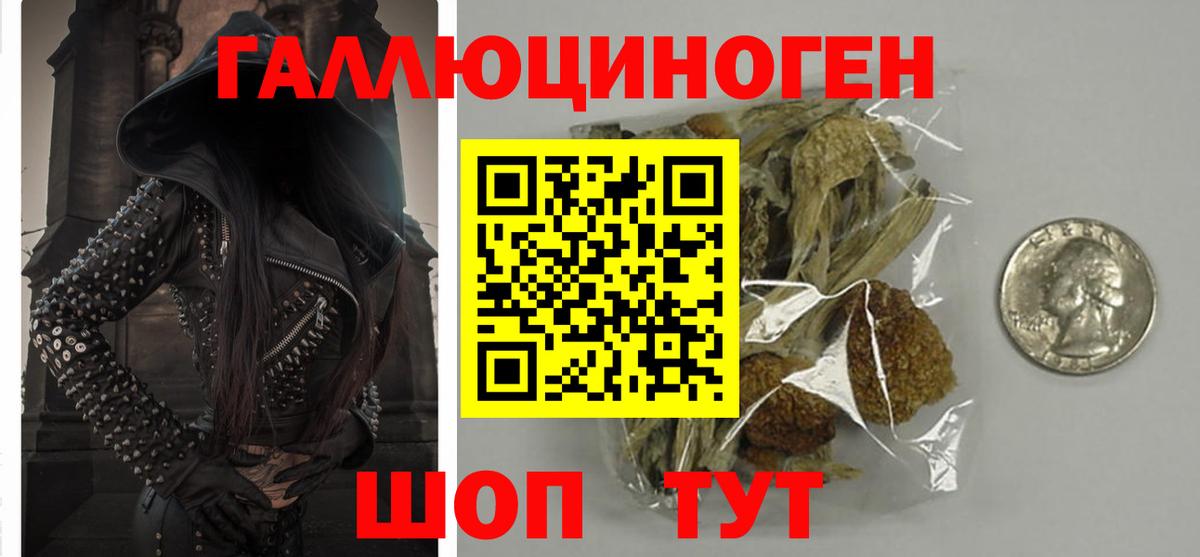 Азов  Галлюциногенные грибы Psilocybine cubensis  Вход с VPN 