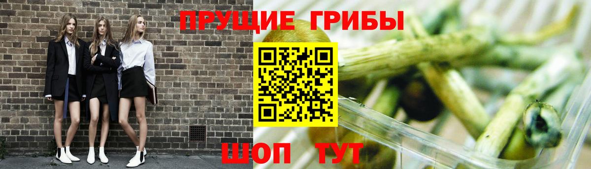 Псилоцибиновые грибы MAGIC MUSHROOMS Азов